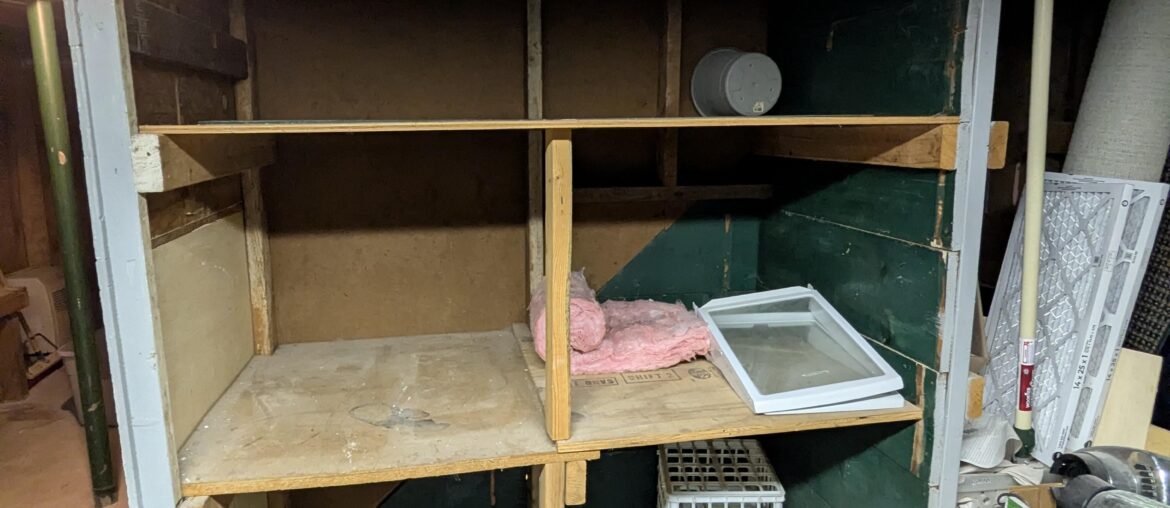 Creepy basement storage to wine cellar?