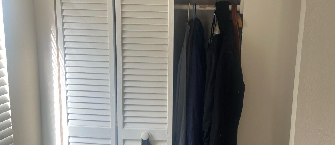 I broke my closet door, any ideas for aesthetics?