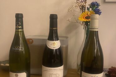 Burgundy Tasting - Notes