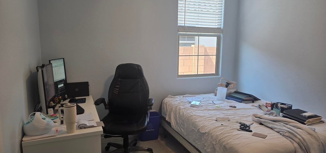 New office/guest bedroom, how to decorate?