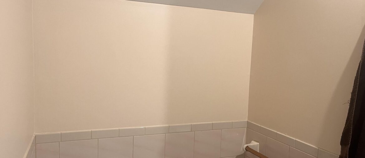 Help me fill these 3 walls around the toilet