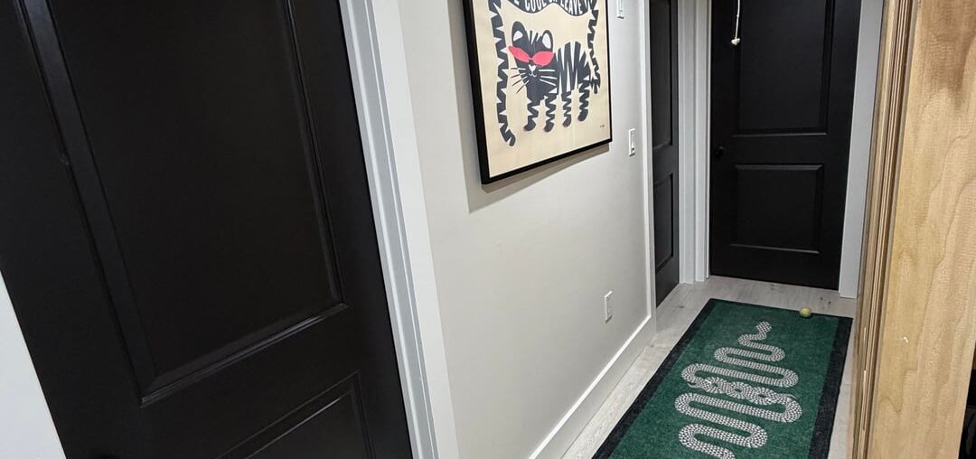 seeking paint advice seeking paint advice