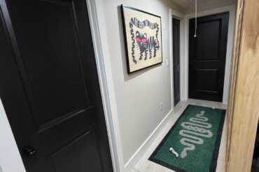 seeking paint advice