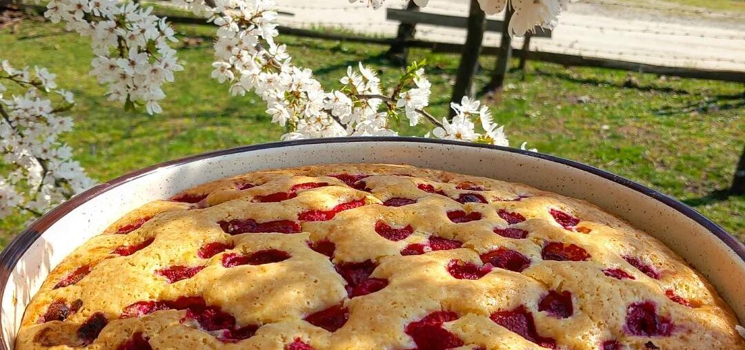 A simple cake with raspberries, Serbia