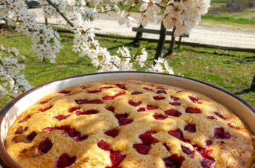 A simple cake with raspberries, Serbia