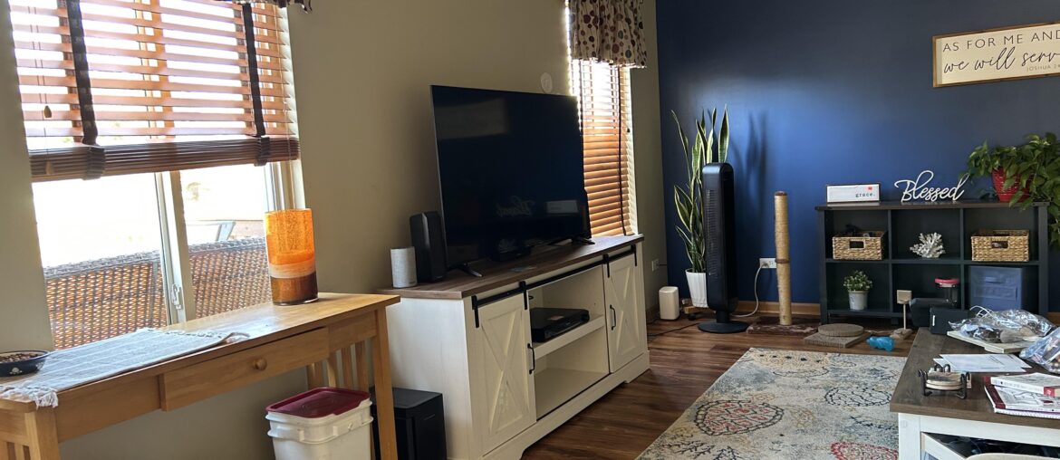 Ideas for cat food dining area Ideas for cat food dining area