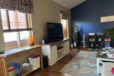 Ideas for cat food dining area