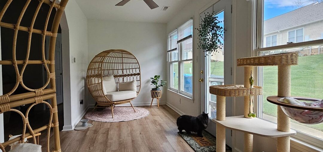 Which set up looks better ?