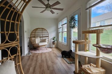 Which set up looks better ?