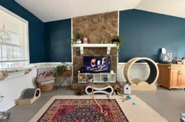 Before and Afters, with the afters first.