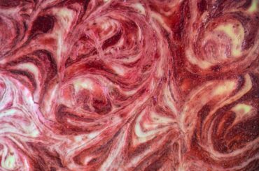 Got up at five o'clock today to bake a cheesekake with a swirl of fresh strawberries for my wife's birthday.....and prepare the brunch.