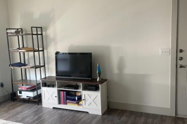 Help with the gap between entertainment and door