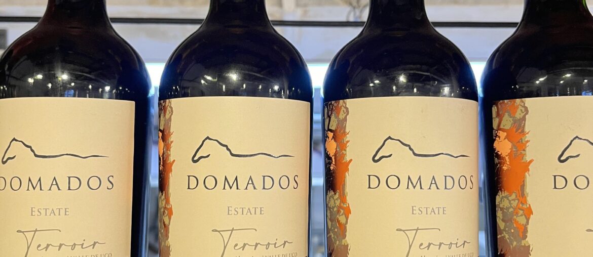 Wines in Mendoza are exceptional