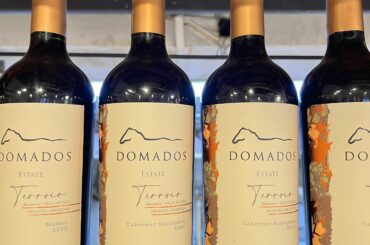 Wines in Mendoza are exceptional