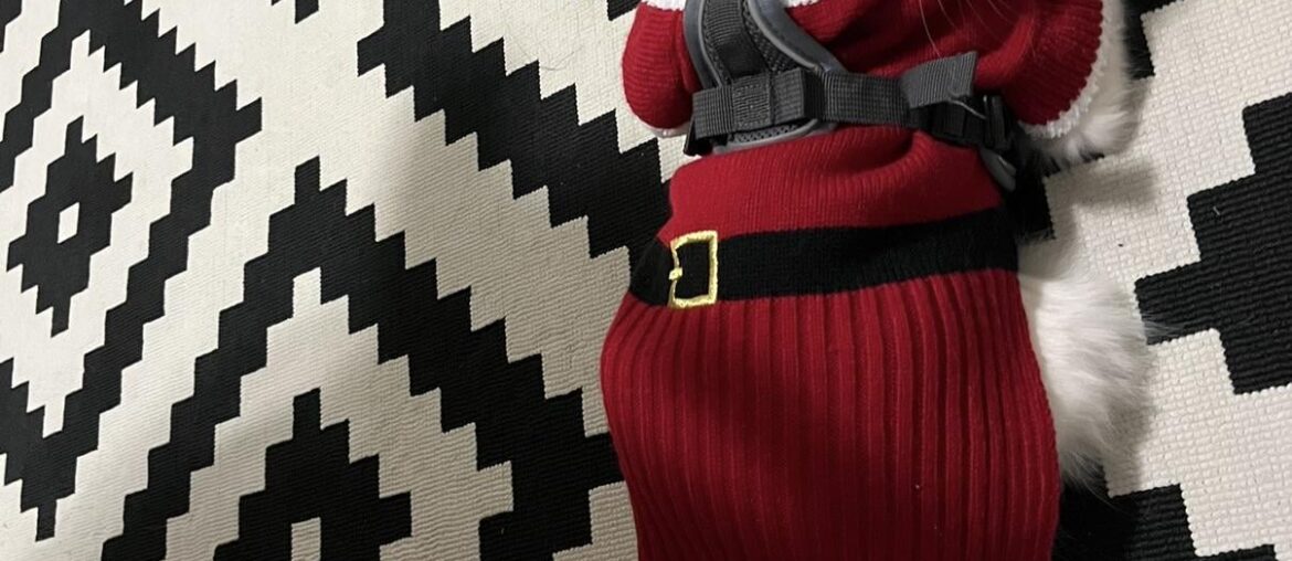 Help recognizing this rug