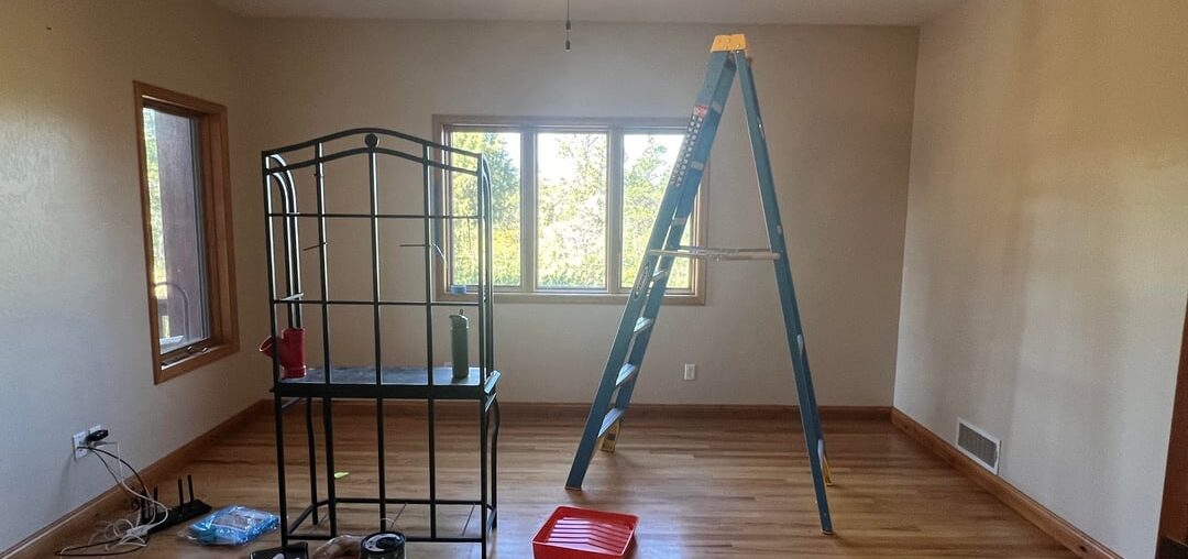 I turned this room into my library