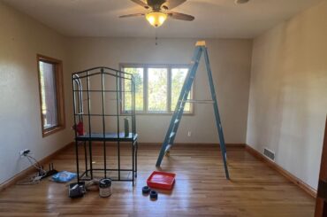 I turned this room into my library