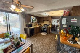 Bringing a throwback back to life