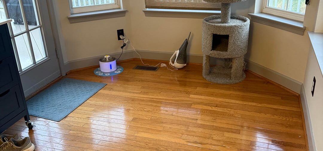 Rug needed Rug needed