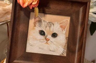 My custom pet portrait finally found its cozy spot at home!