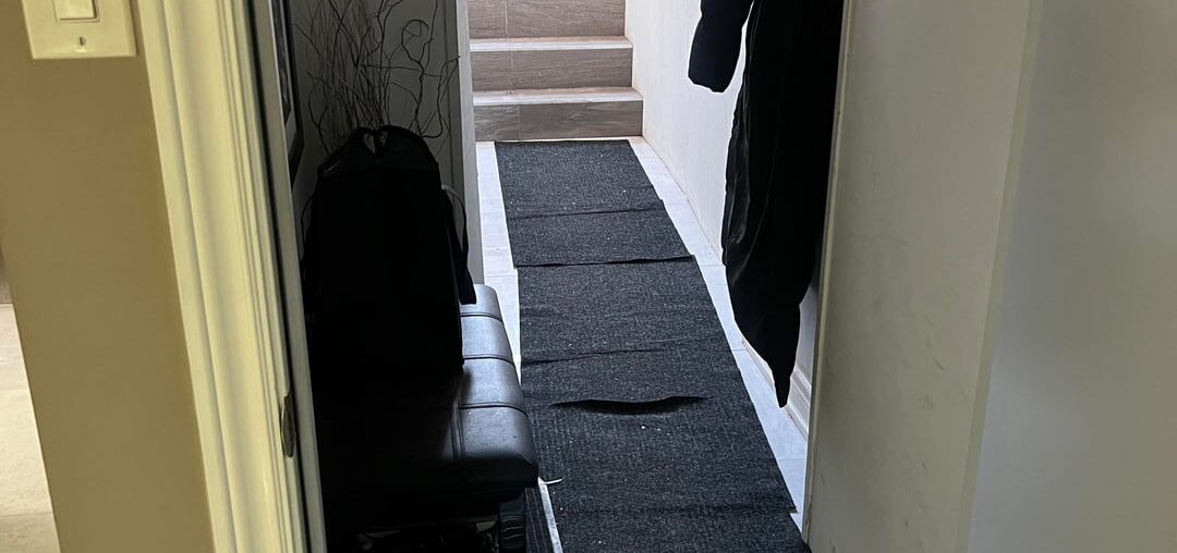 Durable Carpet for Hallway (Renting)