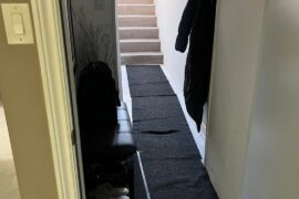 Durable Carpet for Hallway (Renting)