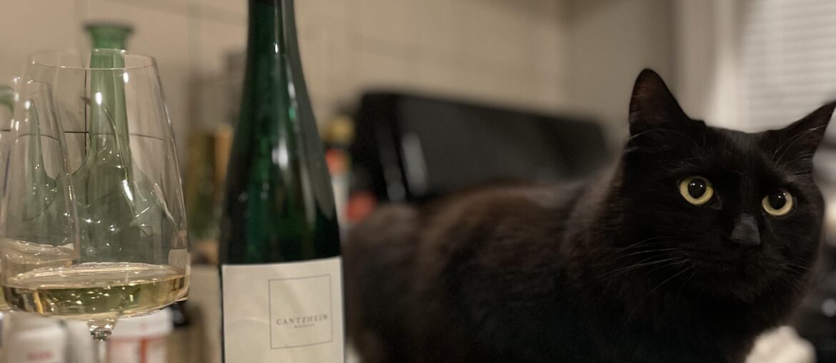 2020 Cantzheim Saar Riesling Der Fuchs 2020 Cantzheim Saar Riesling Der Fuchs