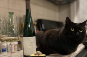 2020 Cantzheim Saar Riesling Der Fuchs