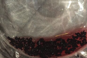 Strange sediment in wine, same brand twice, bugs?