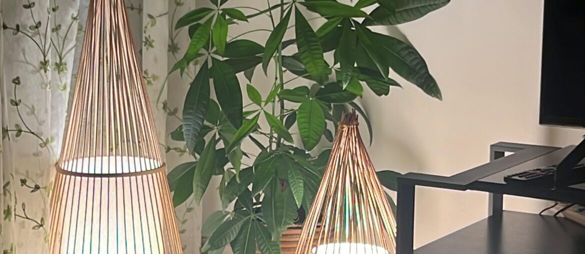 Calm corner of my living room