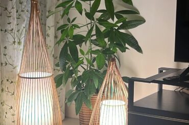 Calm corner of my living room