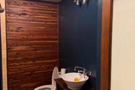 Help deciding what next for primary bathroom