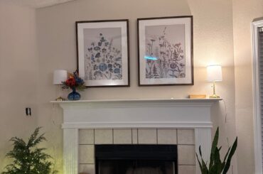 Deficient in Decorating and need help!