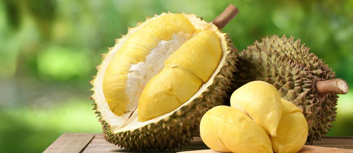 Wine Pairing Challenge [Hard Mode] — Durian