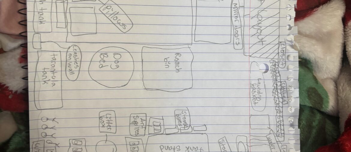 Please Help Me Arrange My Tiny Zoo