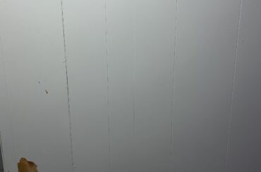 Where to find wall panels