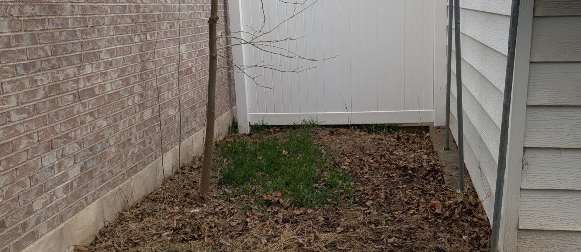 How to utilize this weird space