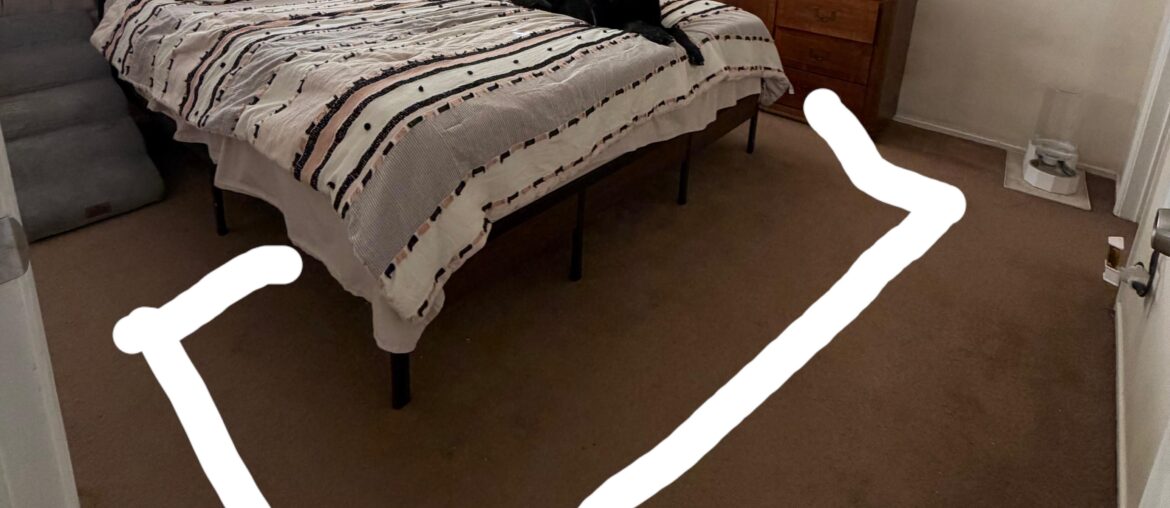 Is it a rug we’re missing?