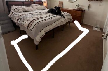 Is it a rug we’re missing?