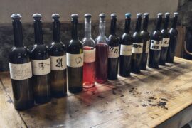 Tasting in Abbet (Switzerland)