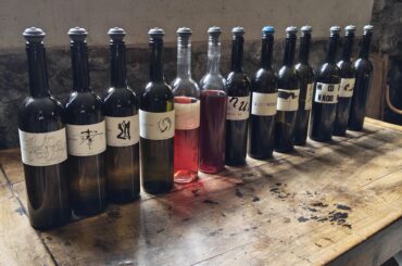 Tasting in Abbet (Switzerland)