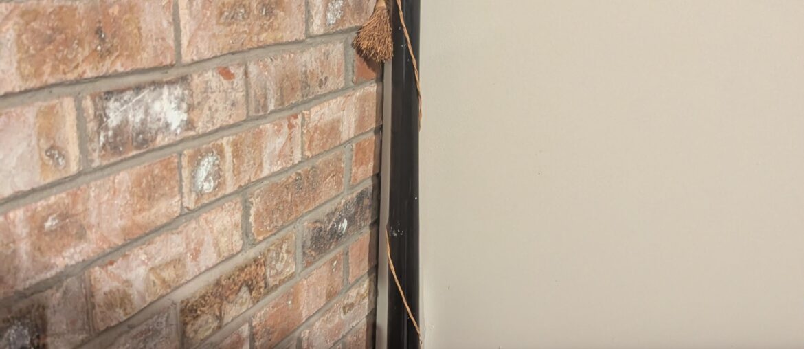 My friend has this bottle of wine in his basement. Is it cool? Says "vintage 1965" on the label