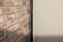 My friend has this bottle of wine in his basement. Is it cool? Says "vintage 1965" on the label