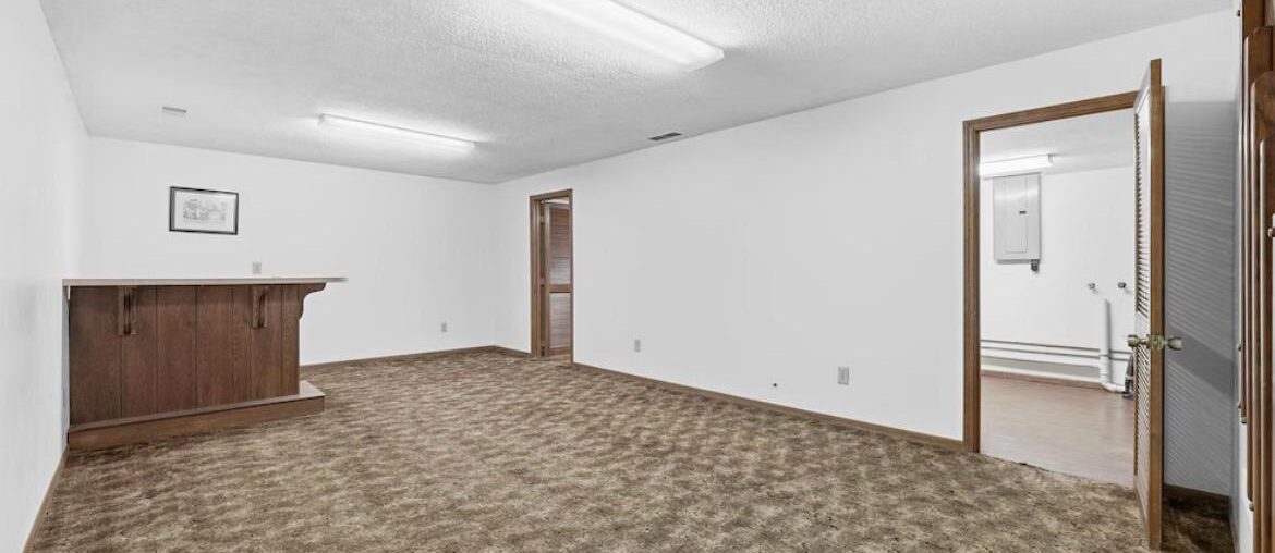Ideas for Basement