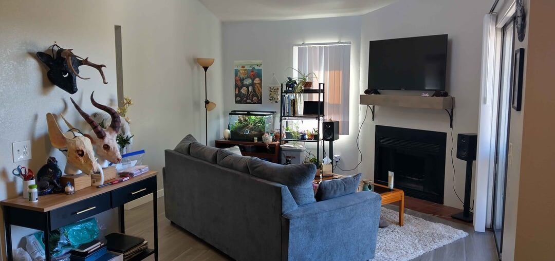 TV and couch placement in awkward living room