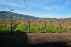 Napa trip report! Realm, Myriad, Davis, amazing day all around!