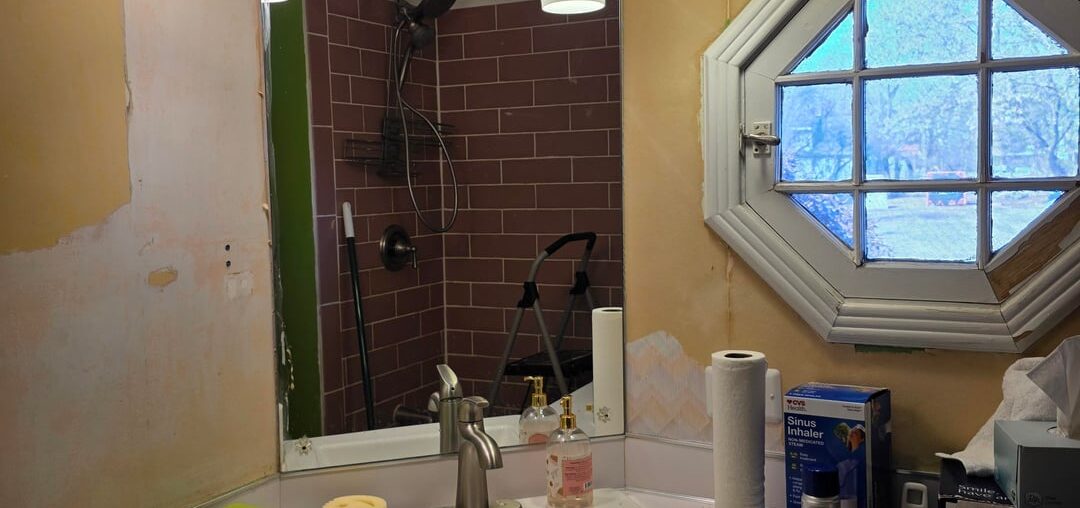 Need some bathroom color help