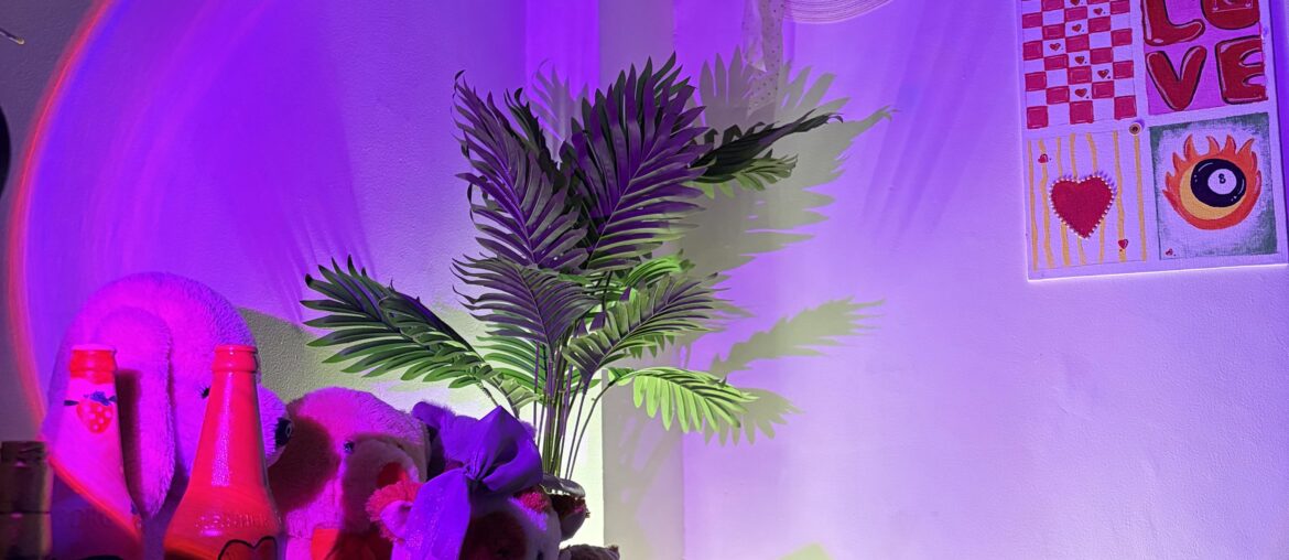 My fav corner of my house ✨💕