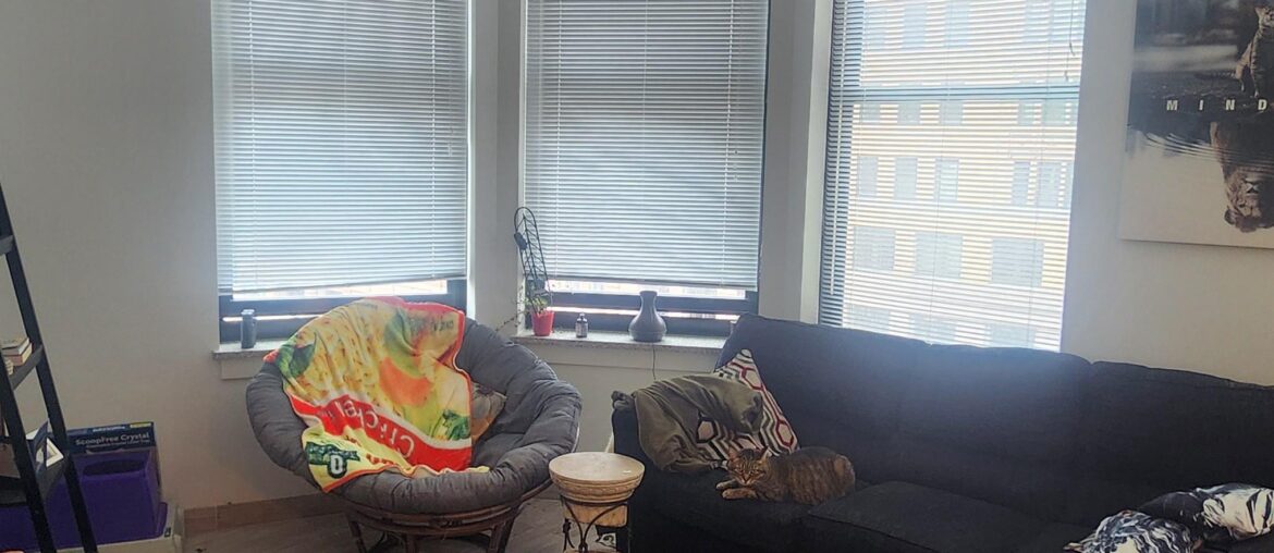 How should I add curtains? Tension rods in the window bay or regular curtains rods hung in front?