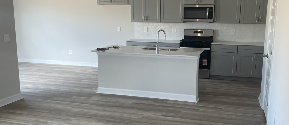 Need Ideas for Kitchen/Living Room Space